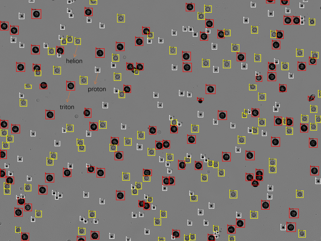Solid-State Nuclear Track Detectors