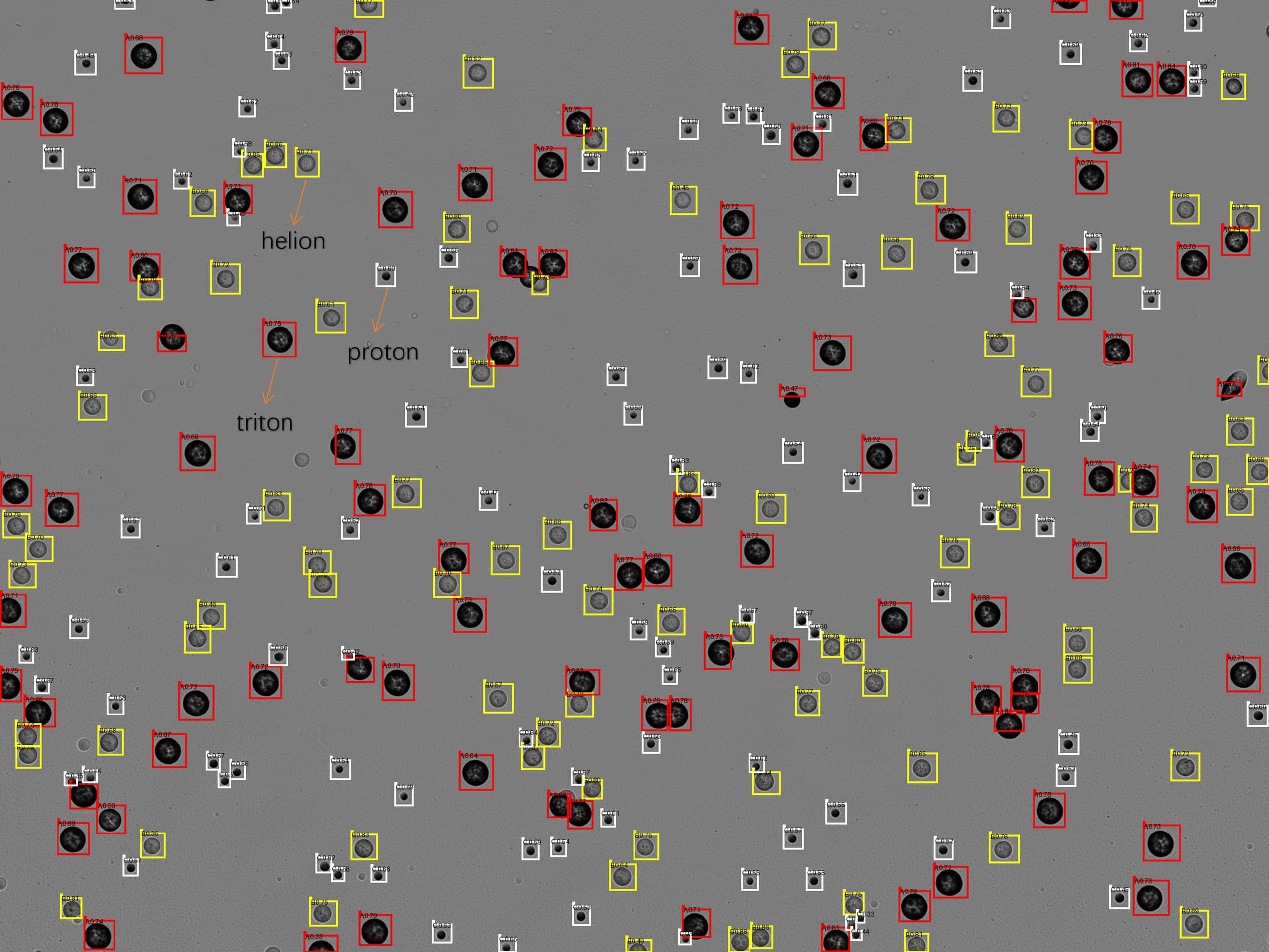 Labelled particle tracks etched into a CR-39 polymer detector